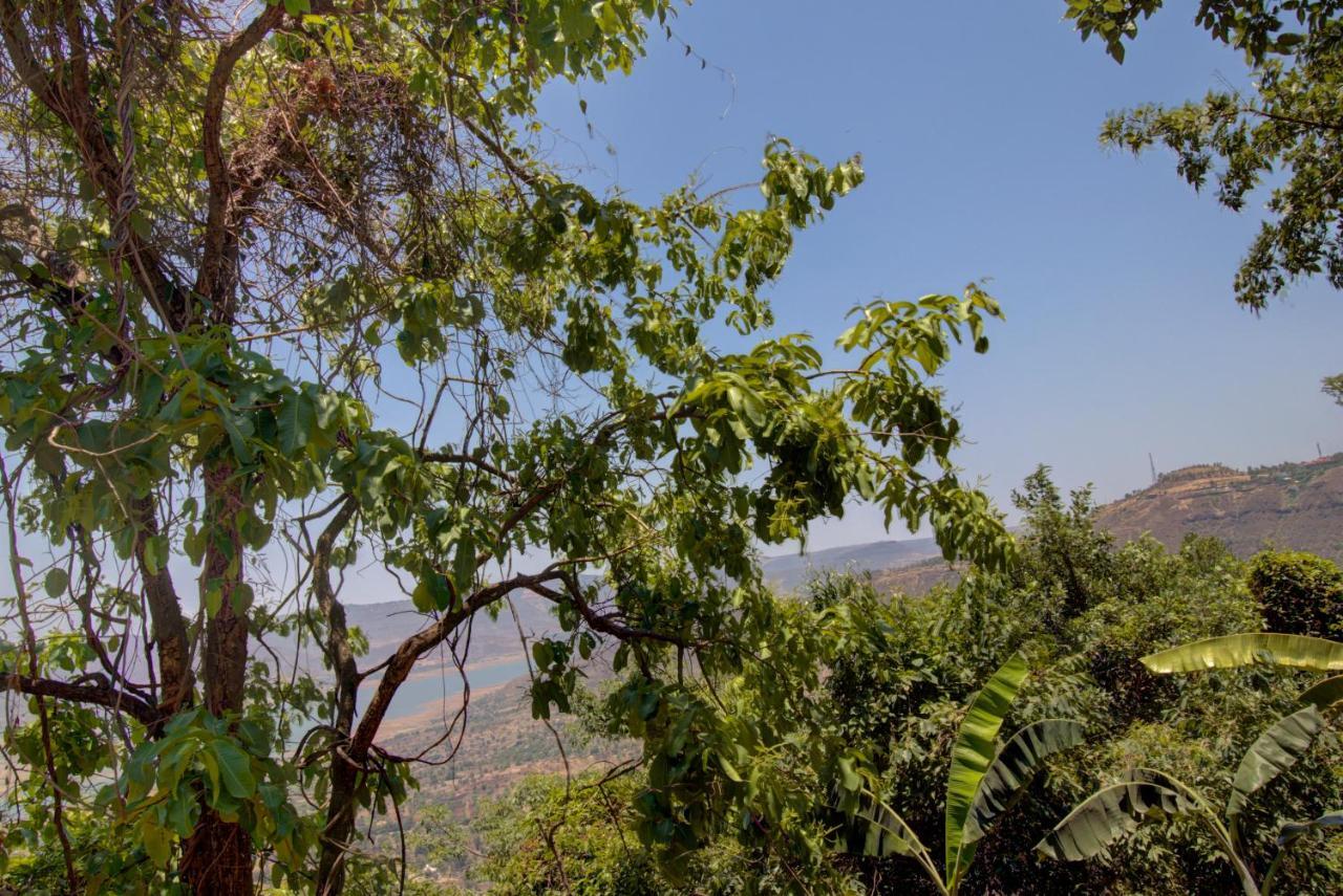 Rainforest Restaurant & Villas Panchgani Buitenkant foto